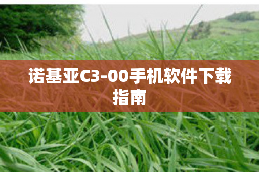 00手机软件下载指南图片