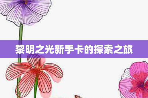 黎明之光新手卡的探索之旅图片