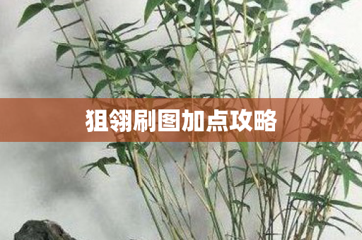 狙翎刷图加点攻略图片