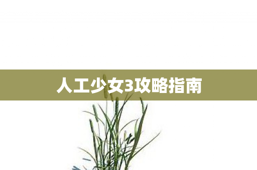 人工少女3攻略指南图片