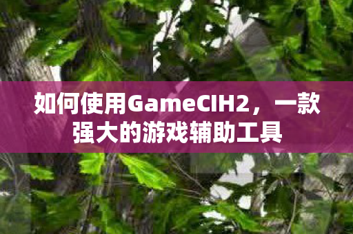 如何使用GameCIH2图片