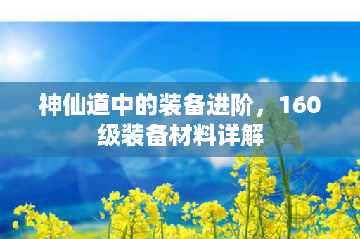 160级装备材料详解图片