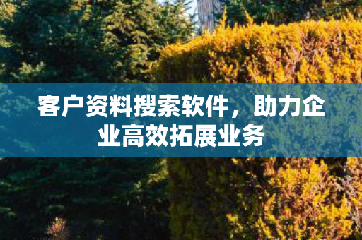 助力企业高效拓展业务图片