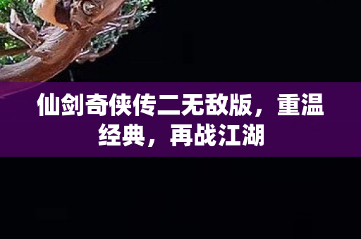 仙剑奇侠传二无敌版图片