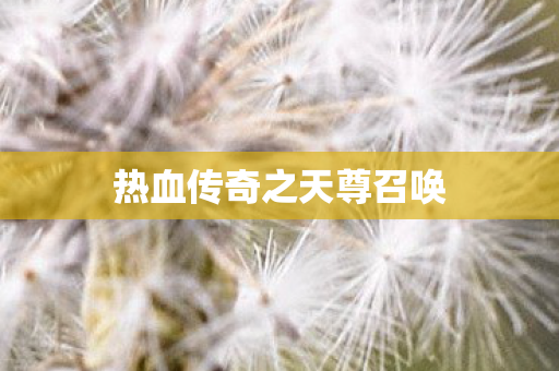 热血传奇之天尊召唤图片