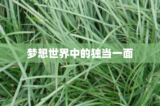 梦想世界中的独当一面图片