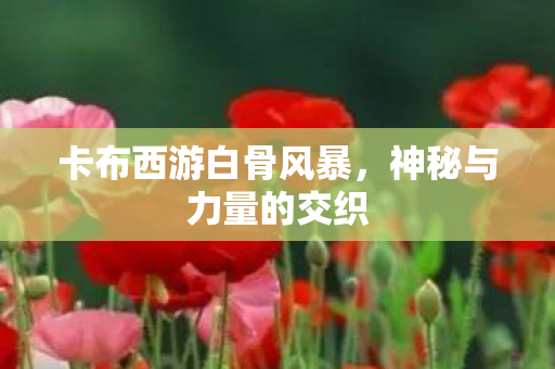 卡布西游白骨风暴图片
