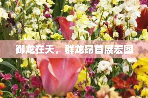 群龙昂首展宏图图片