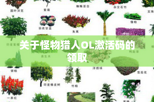 关于怪物猎人OL激活码的领取图片