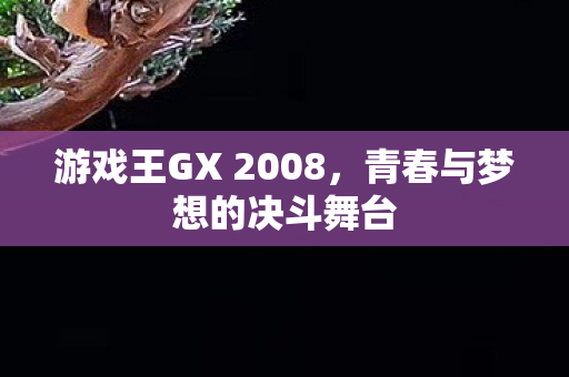 游戏王GX 2008图片