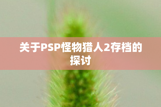 关于PSP怪物猎人2存档的探讨图片