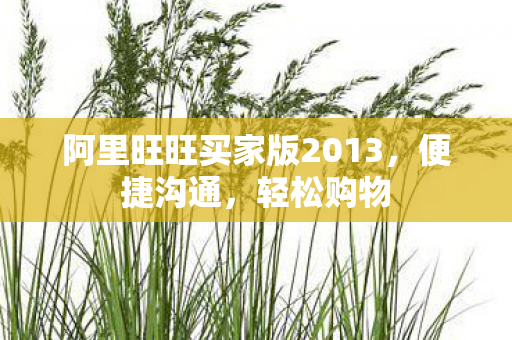阿里旺旺买家版2013图片