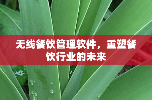 重塑餐饮行业的未来图片