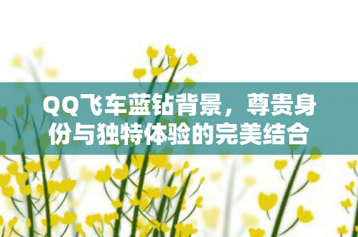 尊贵身份与独特体验的完美结合图片
