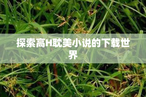 探索高H耽美小说的下载世界图片