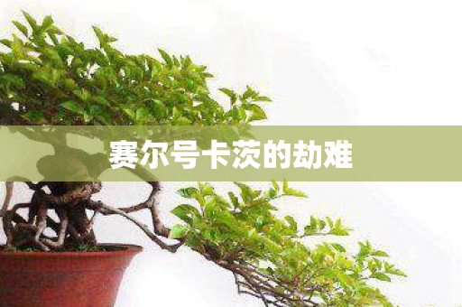 赛尔号卡茨的劫难图片