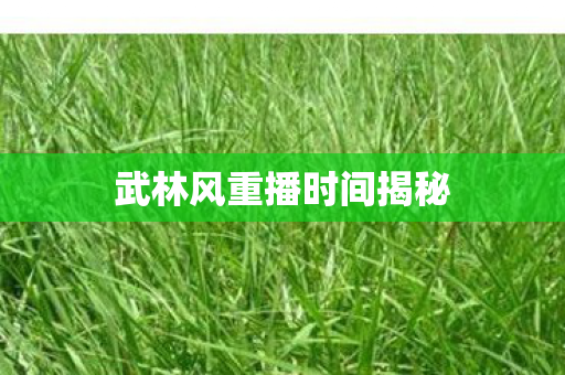 武林风重播时间揭秘图片