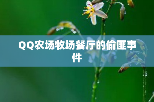 QQ农场牧场餐厅的偷匪事件图片
