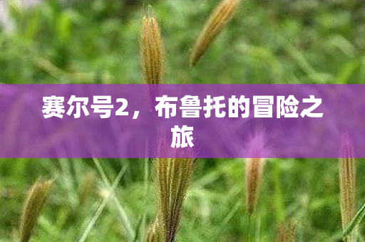 布鲁托的冒险之旅图片