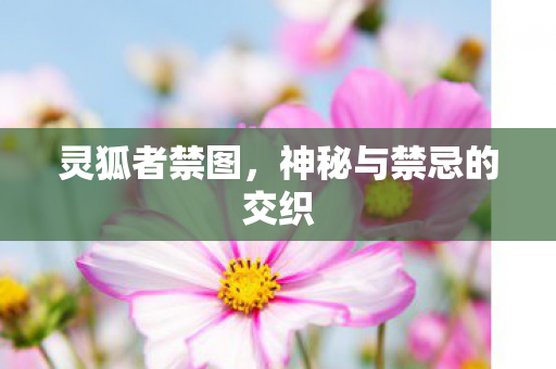 神秘与禁忌的交织图片