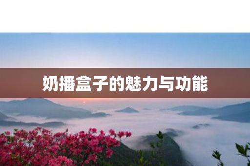 奶播盒子的魅力与功能图片