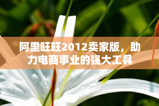 阿里旺旺2012卖家版图片
