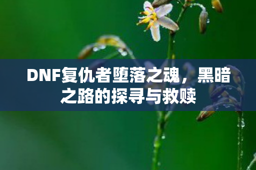 DNF复仇者堕落之魂图片