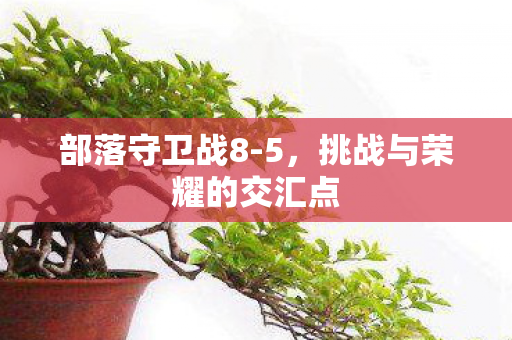 挑战与荣耀的交汇点图片
