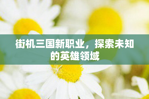 探索未知的英雄领域图片
