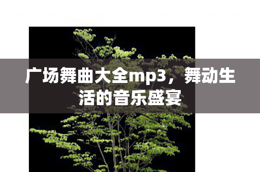广场舞曲大全mp3图片