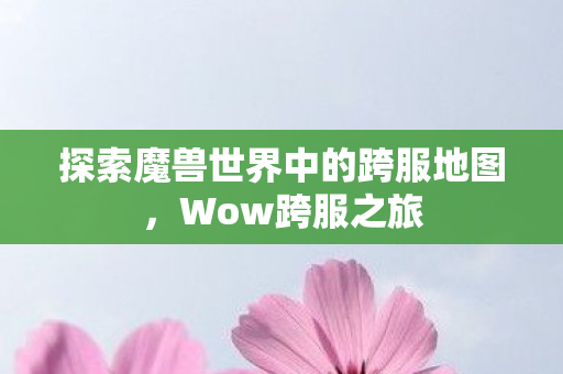 探索魔兽世界中的跨服地图图片