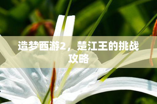 楚江王的挑战攻略图片