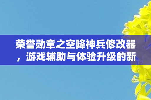 游戏辅助与体验升级的新境界图片