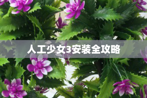 人工少女3安装全攻略图片