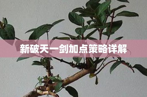 新破天一剑加点策略详解图片