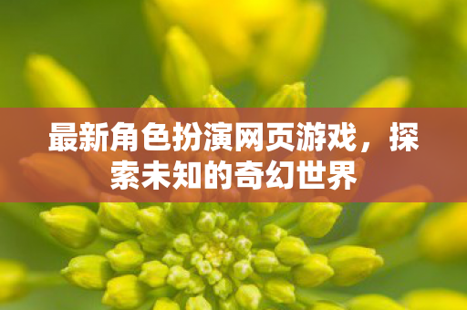 最新角色扮演网页游戏图片
