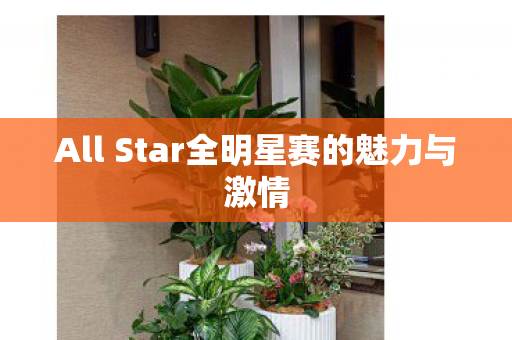 All Star全明星赛的魅力与激情图片