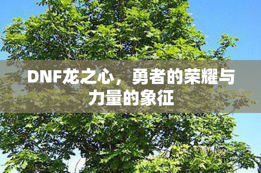 勇者的荣耀与力量的象征图片