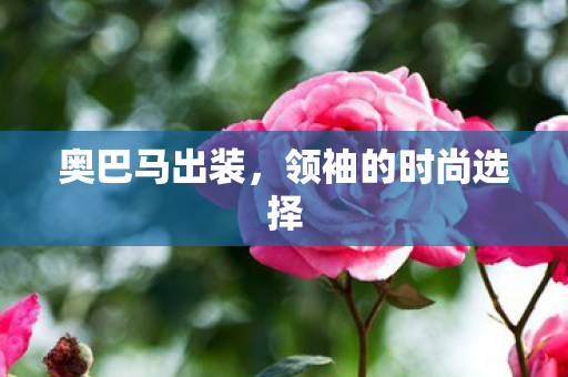 领袖的时尚选择图片