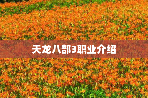 天龙八部3职业介绍图片