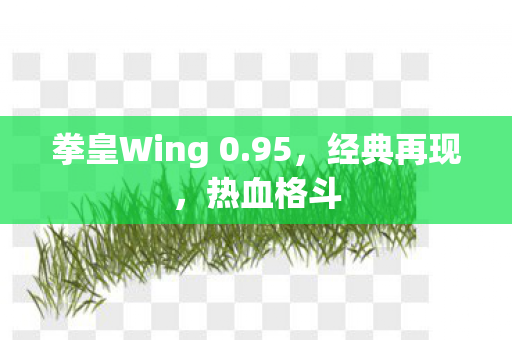 拳皇Wing 0图片
