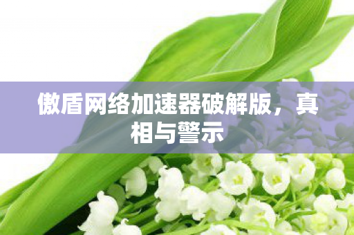 傲盾网络加速器破解版图片
