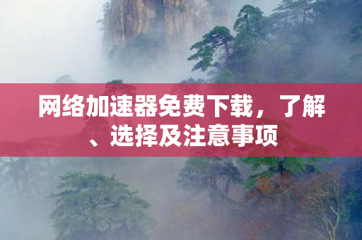 网络加速器免费下载图片