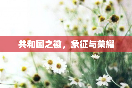 共和国之徽图片