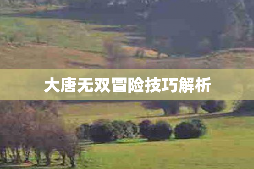大唐无双冒险技巧解析图片