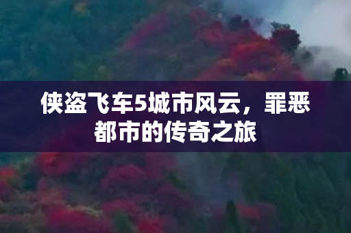 侠盗飞车5城市风云图片
