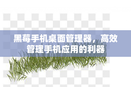 高效管理手机应用的利器图片