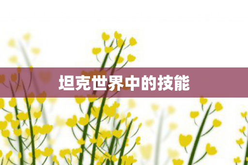 坦克世界中的技能图片