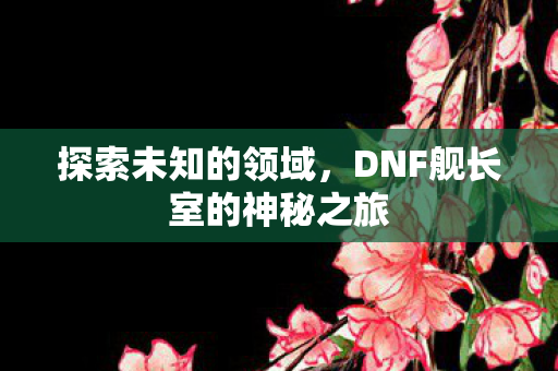 DNF舰长室的神秘之旅图片