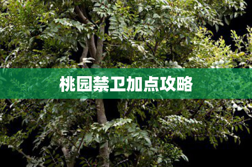 桃园禁卫加点攻略图片